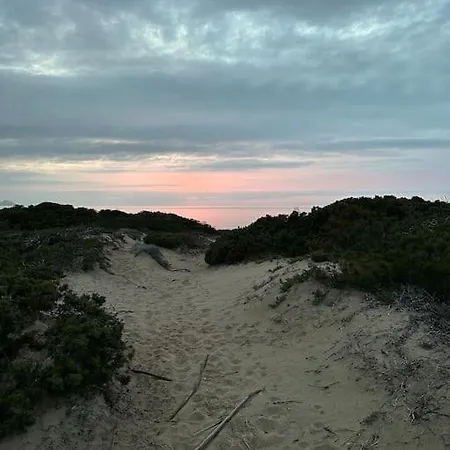 Casa “mimosa”a Pochi Passi Dal Mare Con Piscina * باديسي