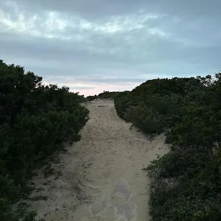Casa “mimosa”a Pochi Passi Dal Mare Con Piscina *